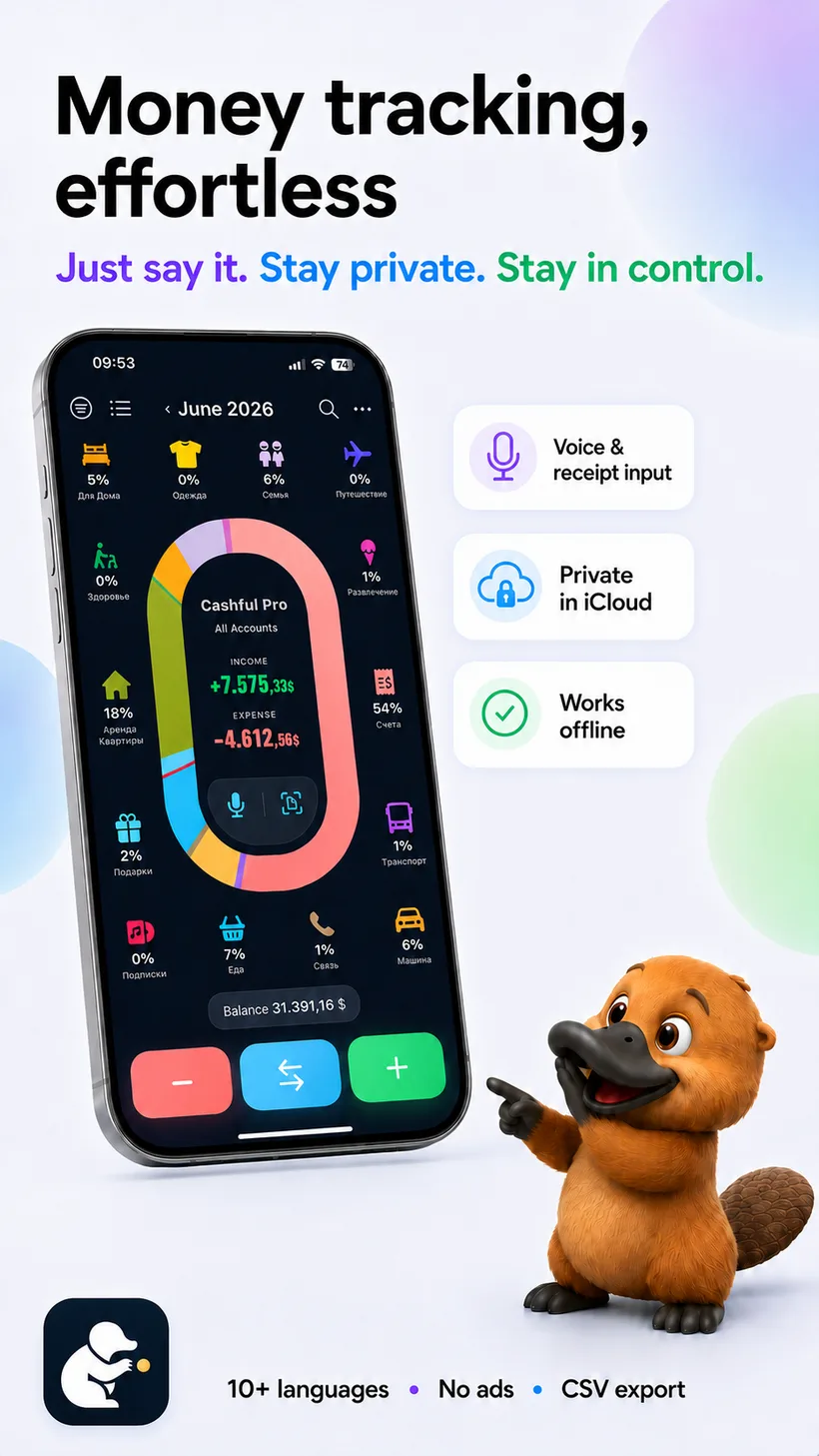 Cashful voice input — just say it, stay private, works offline